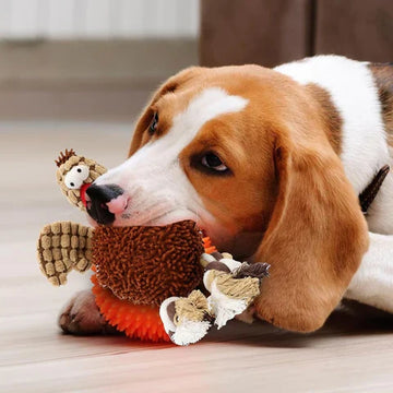 Bite and pull two-in-one: The hedgehog makes sounds and pulls the ball to awaken its natural hunting power