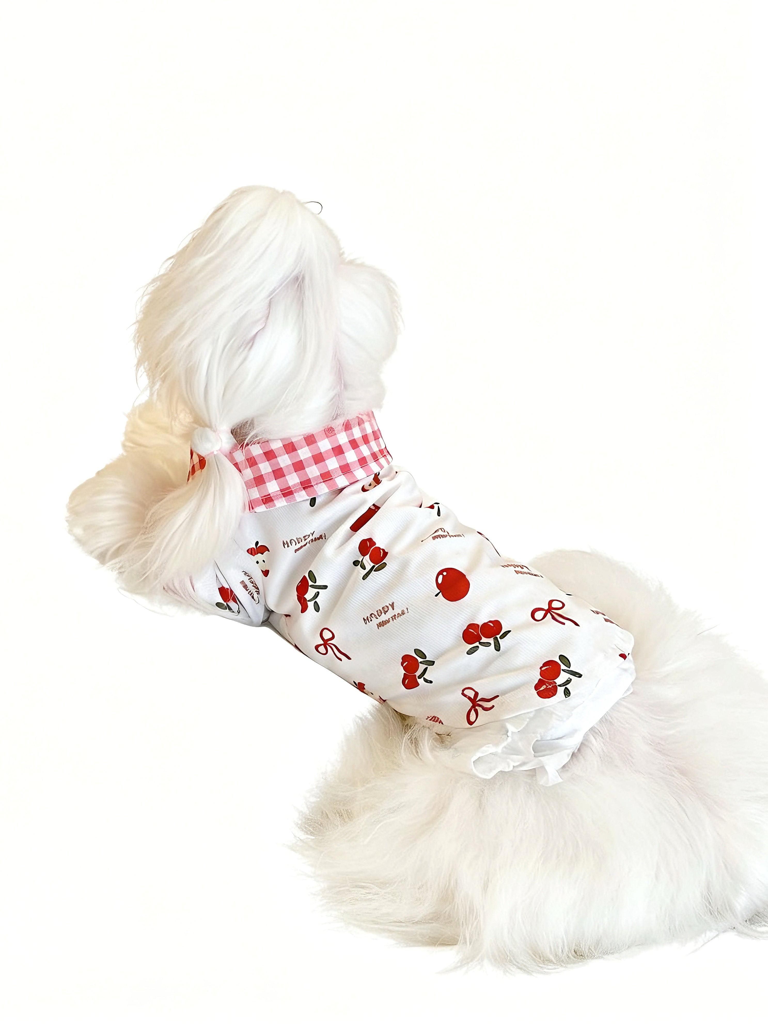 Berry Picnic Collar Top
