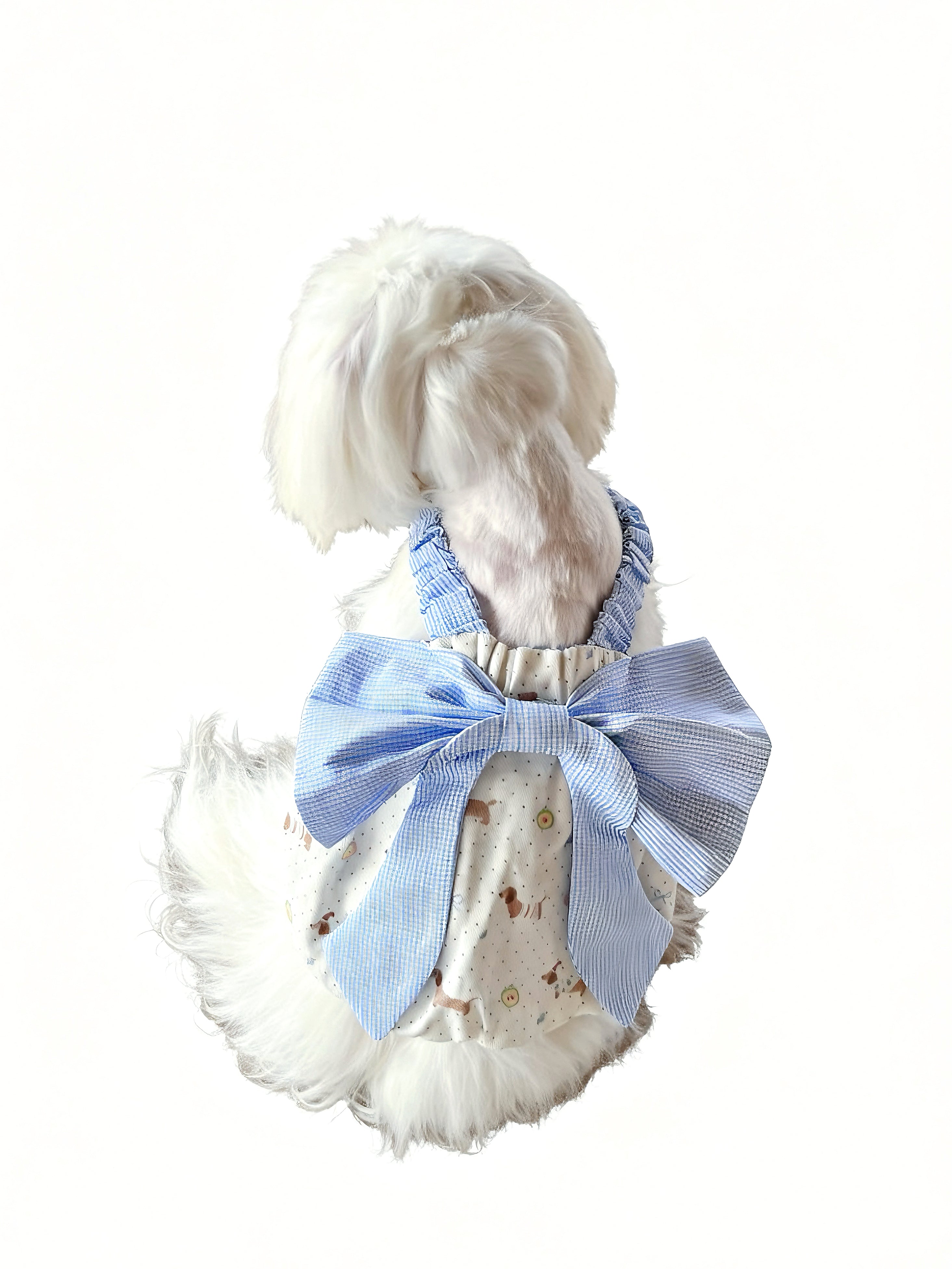 Sweet Bow Top