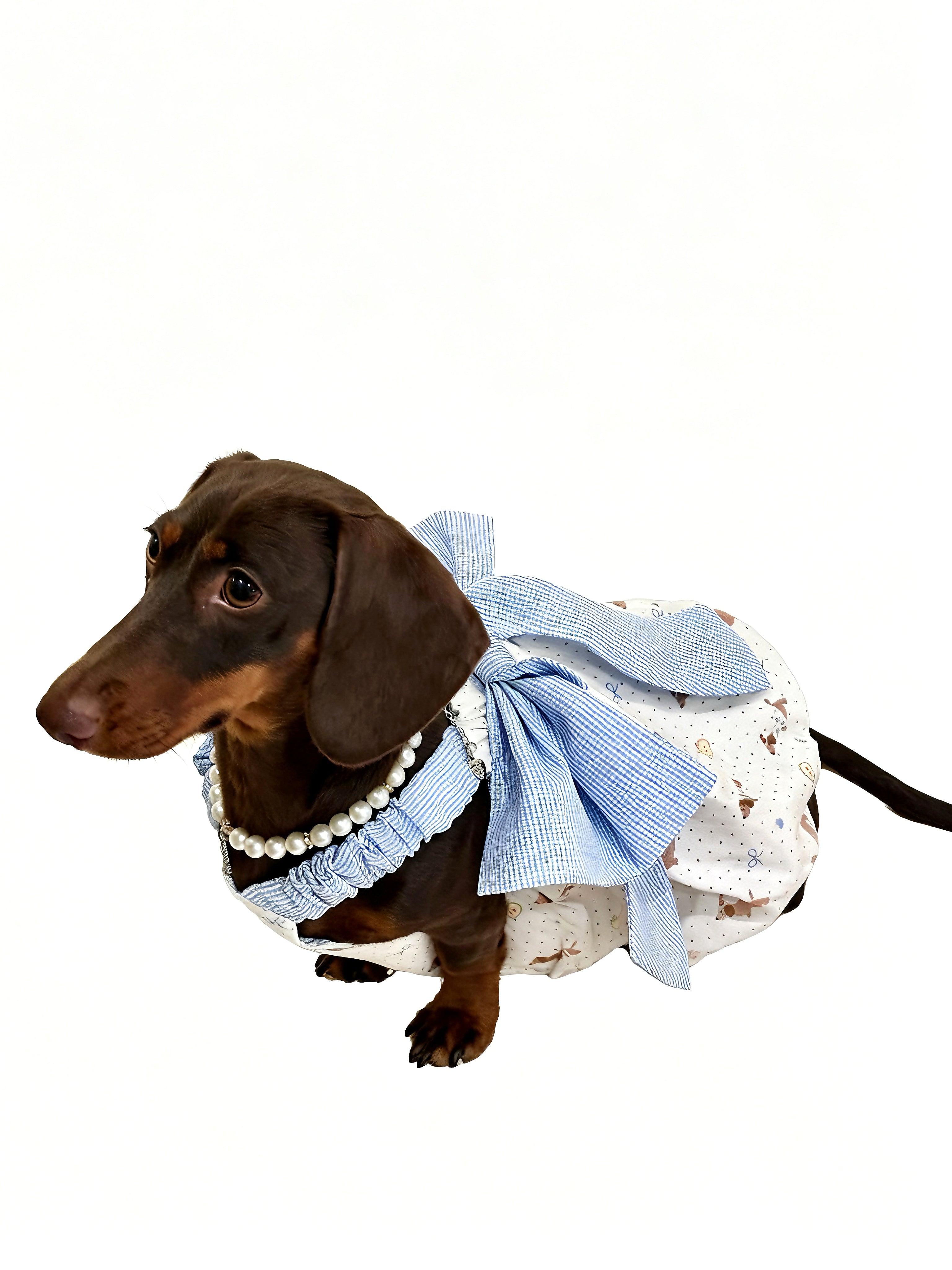 Sweet Bow Top