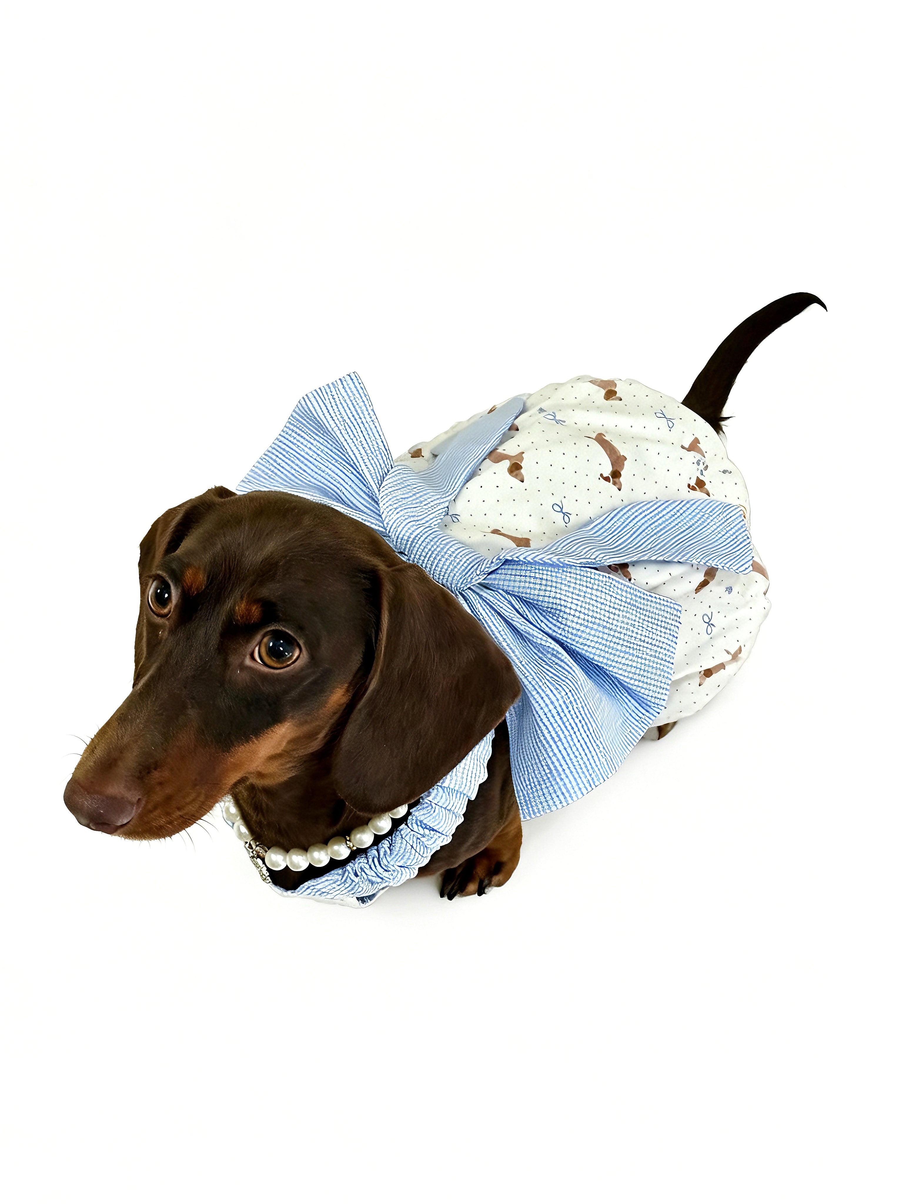 Sweet Bow Top