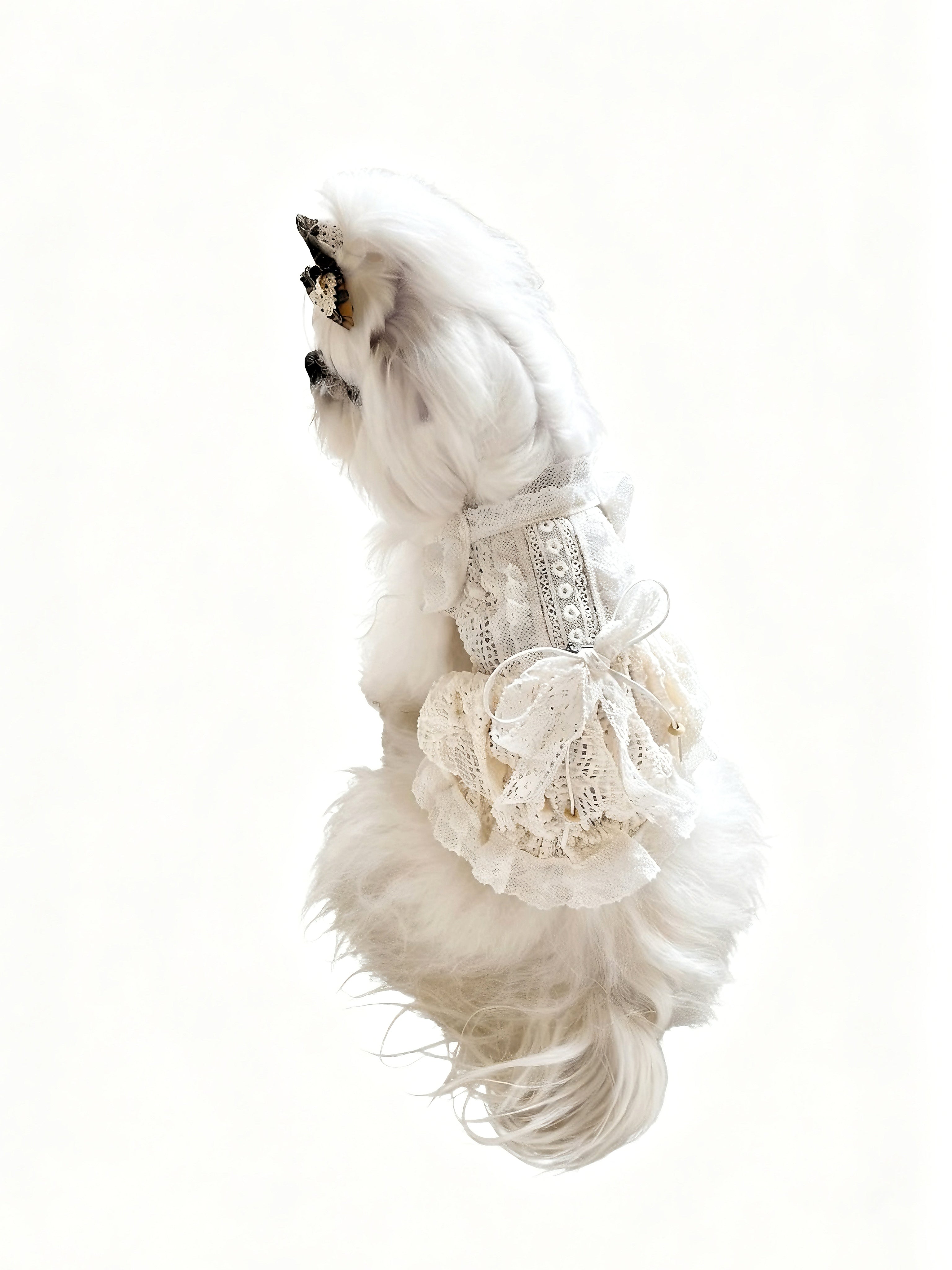 Ivory Lace Dress