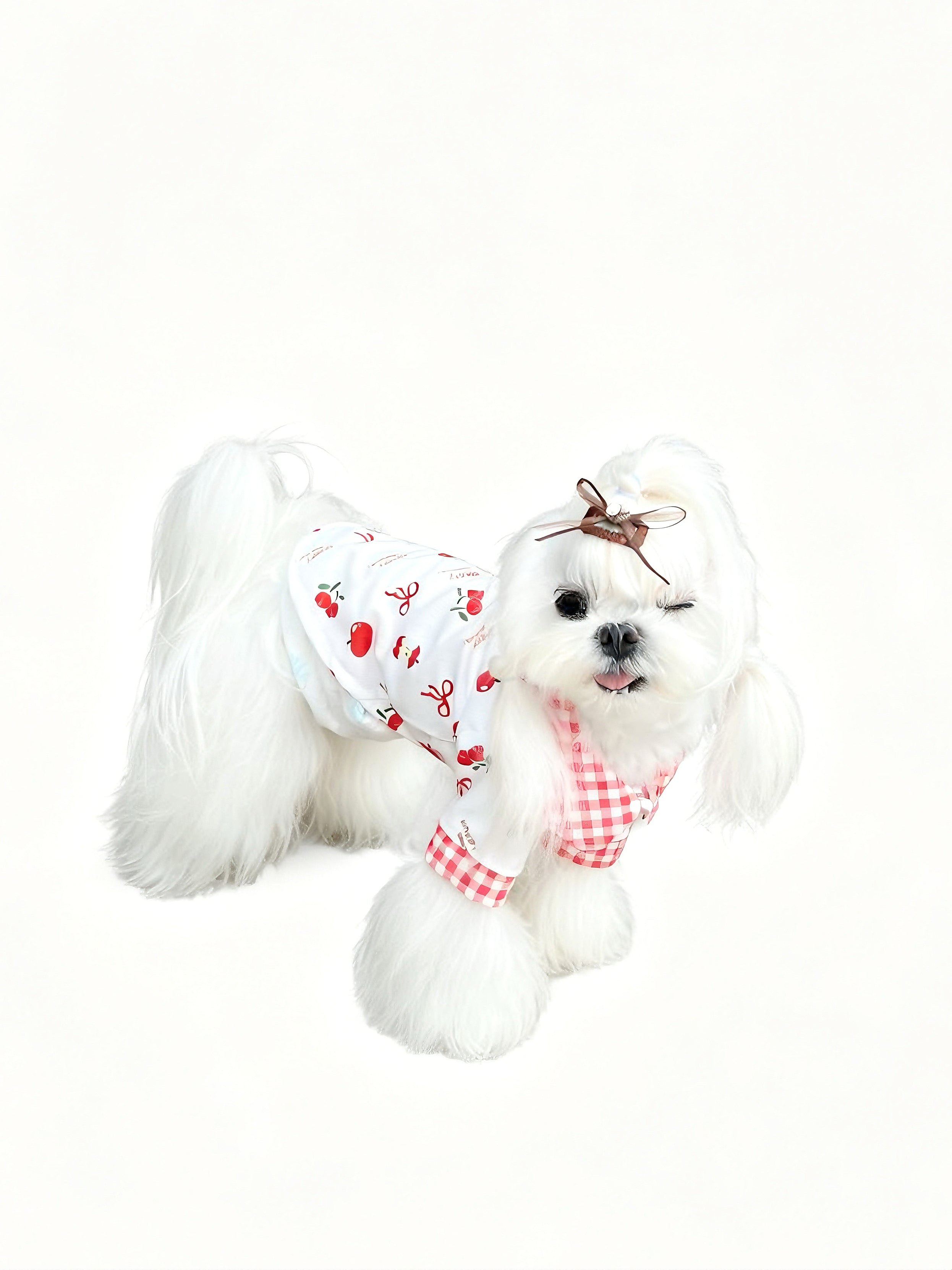 Berry Picnic Collar Top