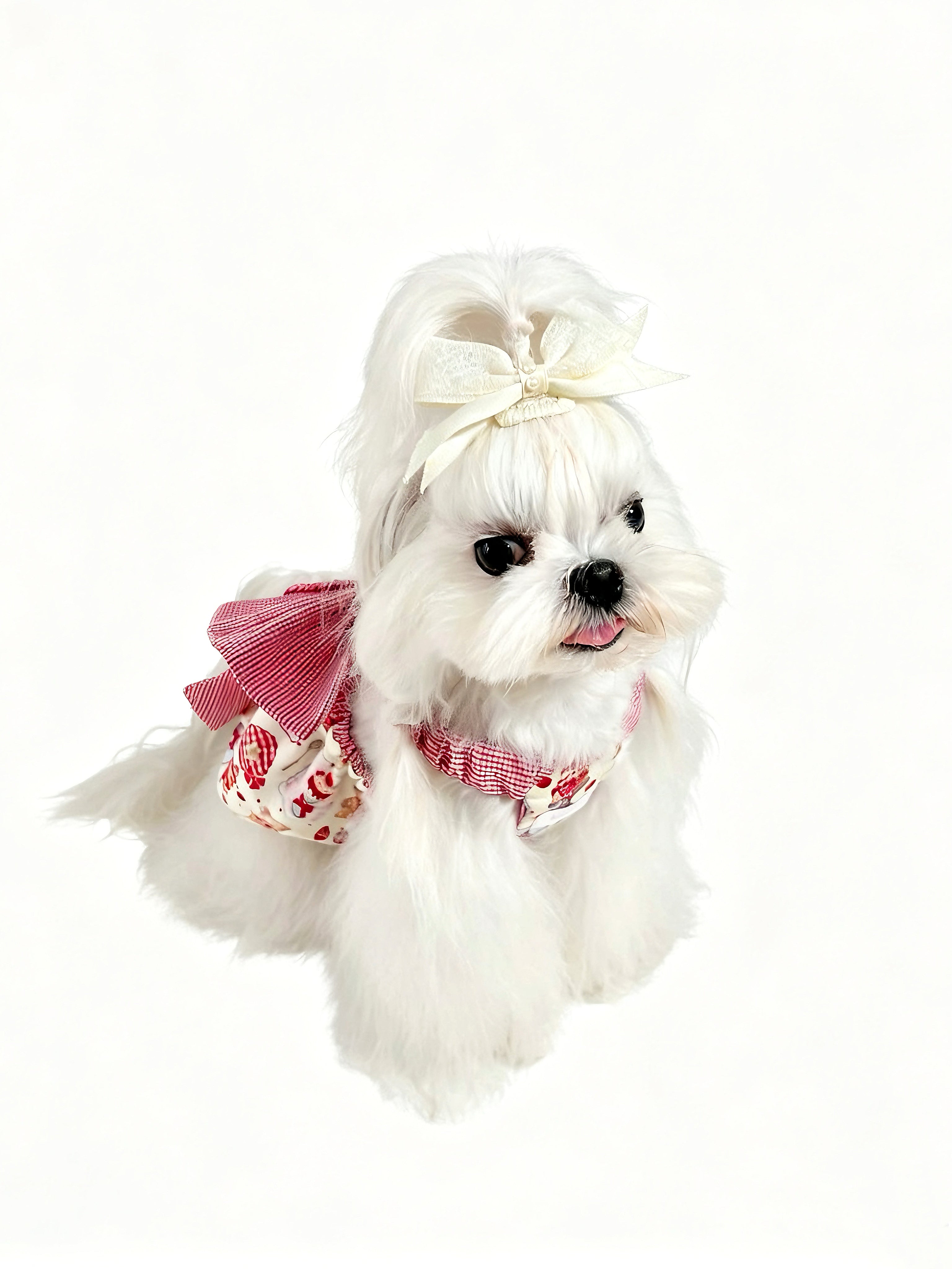 Sweet Bow Top