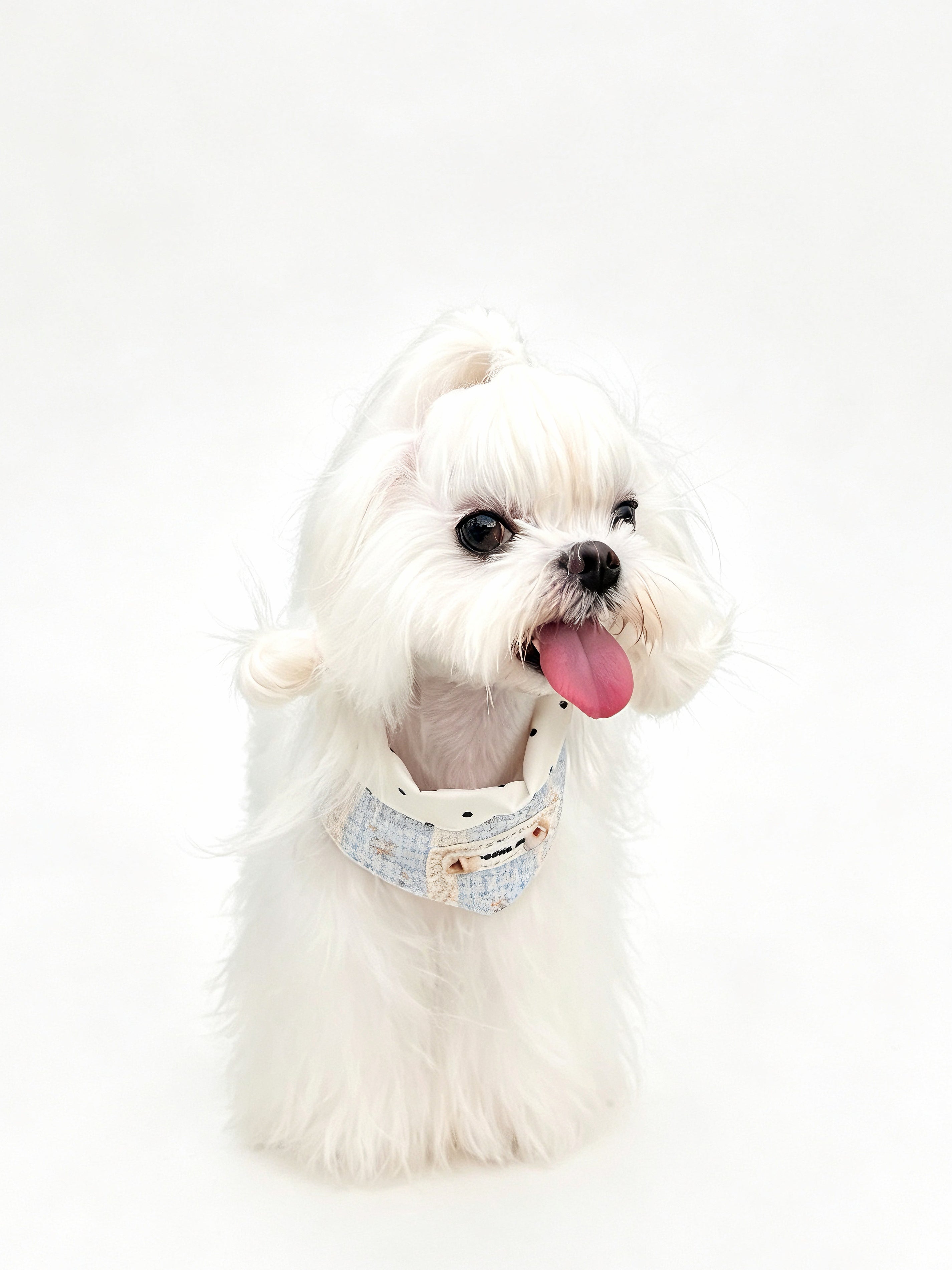 Harbor Breeze Reversible Bandana