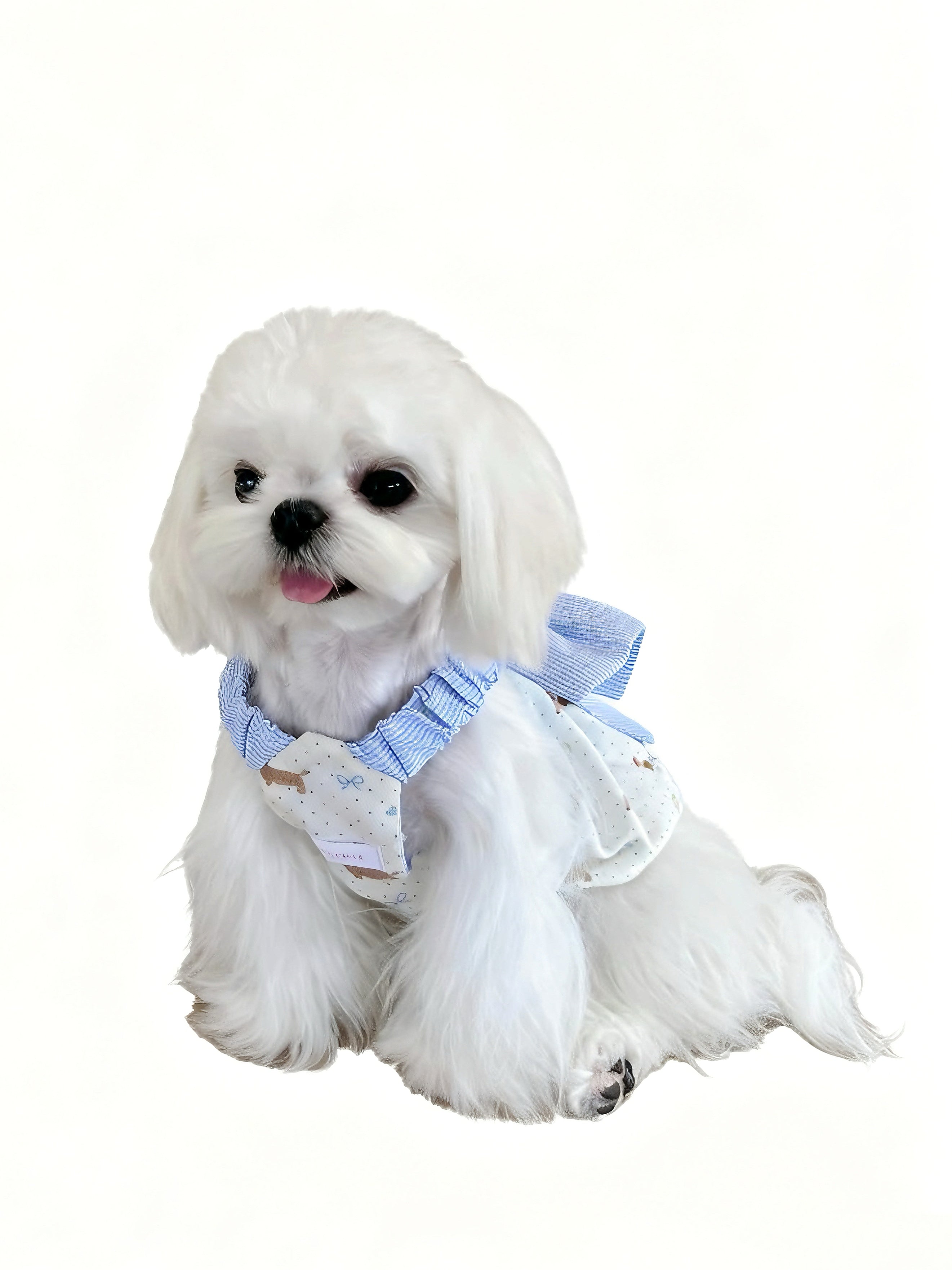 Sweet Bow Top