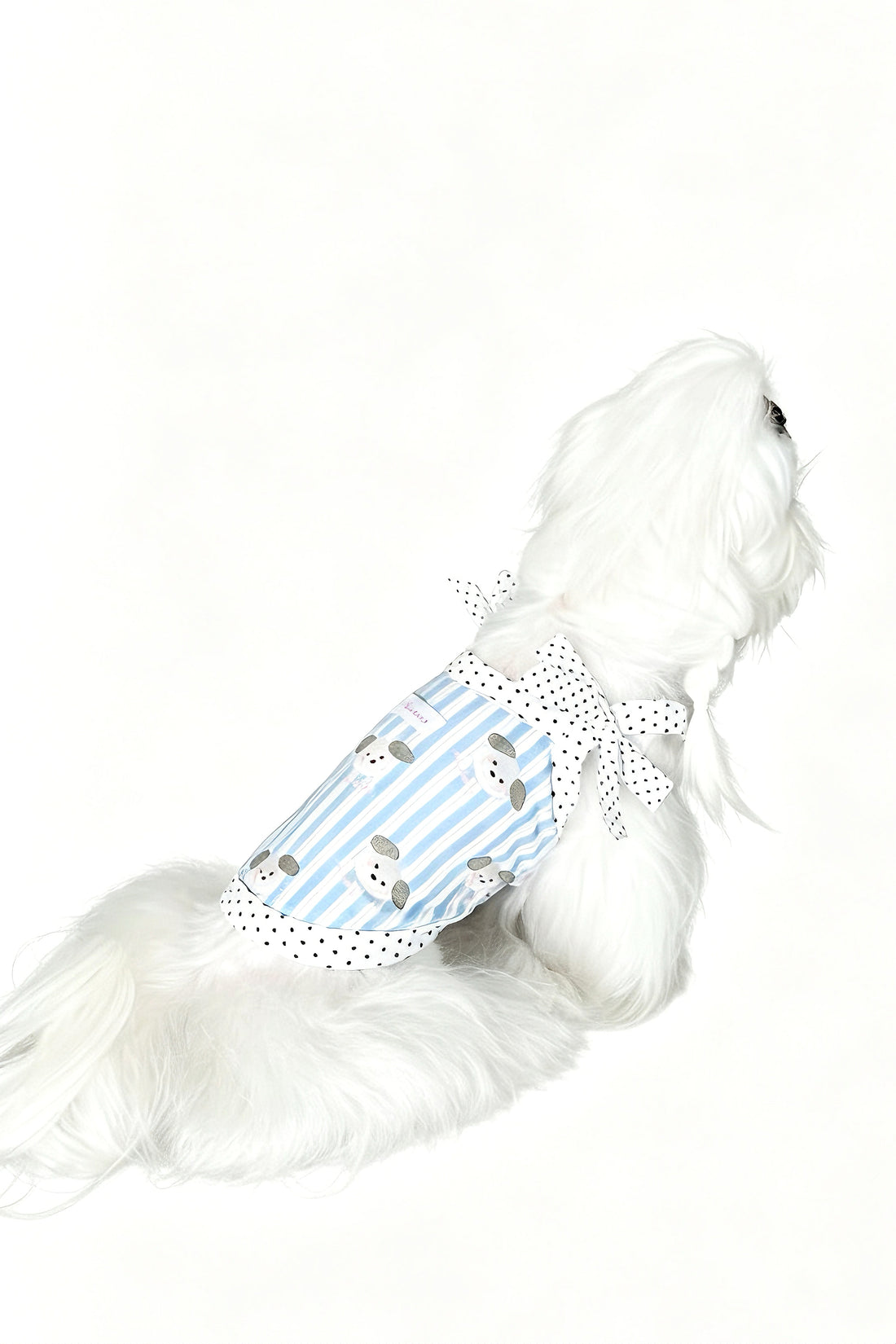Puppy Print Bow Tank